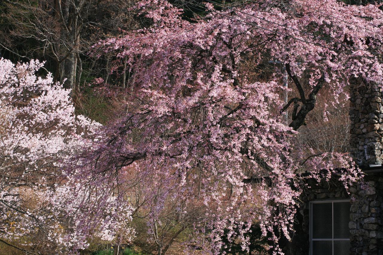 Nukumorino-Yado Komanoyu คิโซะ ภายนอก รูปภาพ